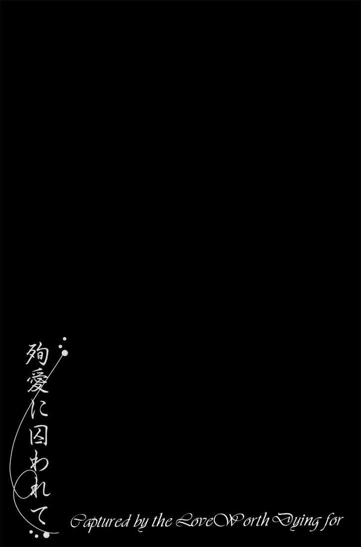 Junai ni Torawarete Chapter 2 page 39 - Chapter 2 : The Captive Man Part II