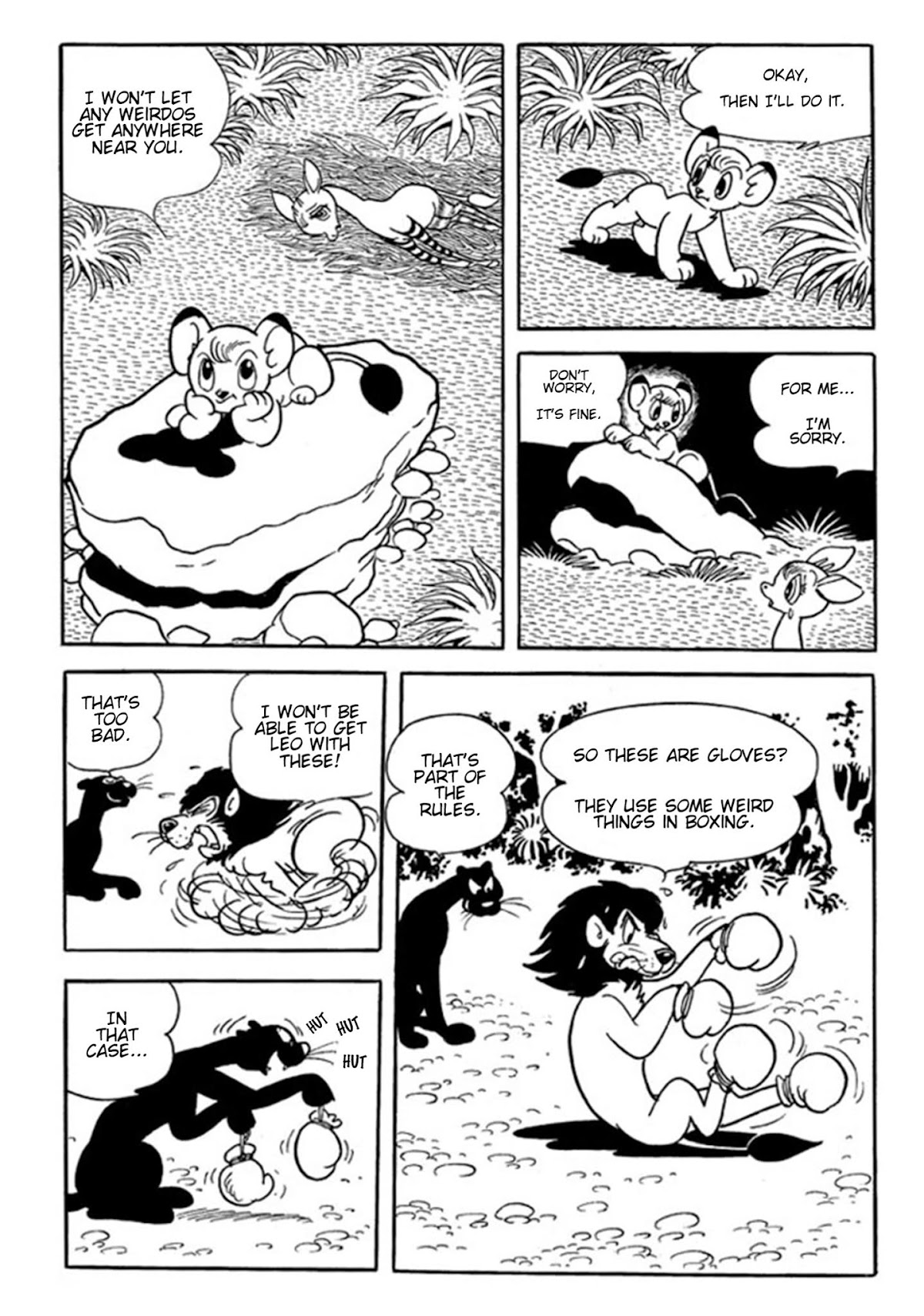 Jungle Emperor (Third Grader) Chapter 2 page 11 - Chapter 2: Boxing