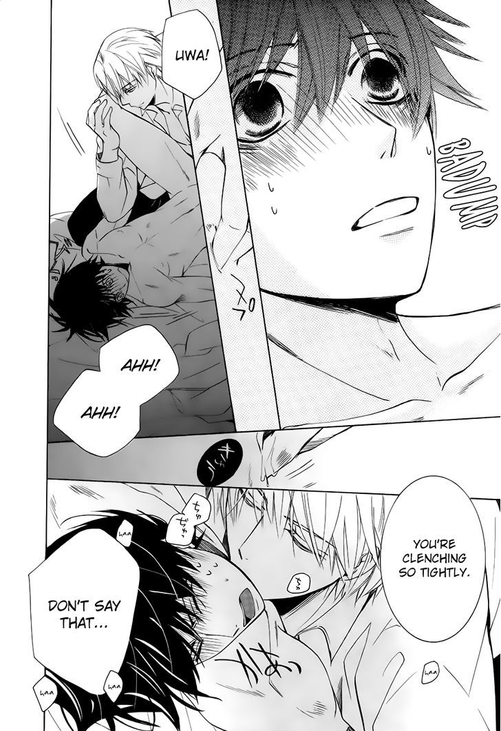 Junjou Romantica Chapter 21.1 page 49 - Vol.21 Chapter 1: Junjou Romantica Act 41