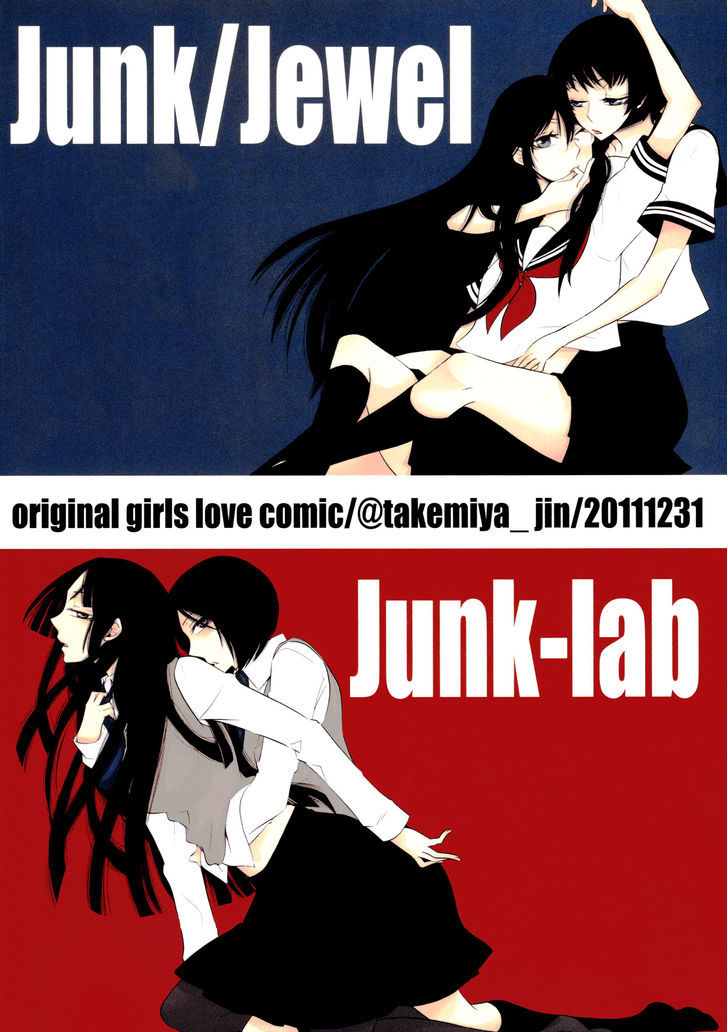 Junk/Jewel Chapter 1 page 2 - Chapter 1 : Oneshot