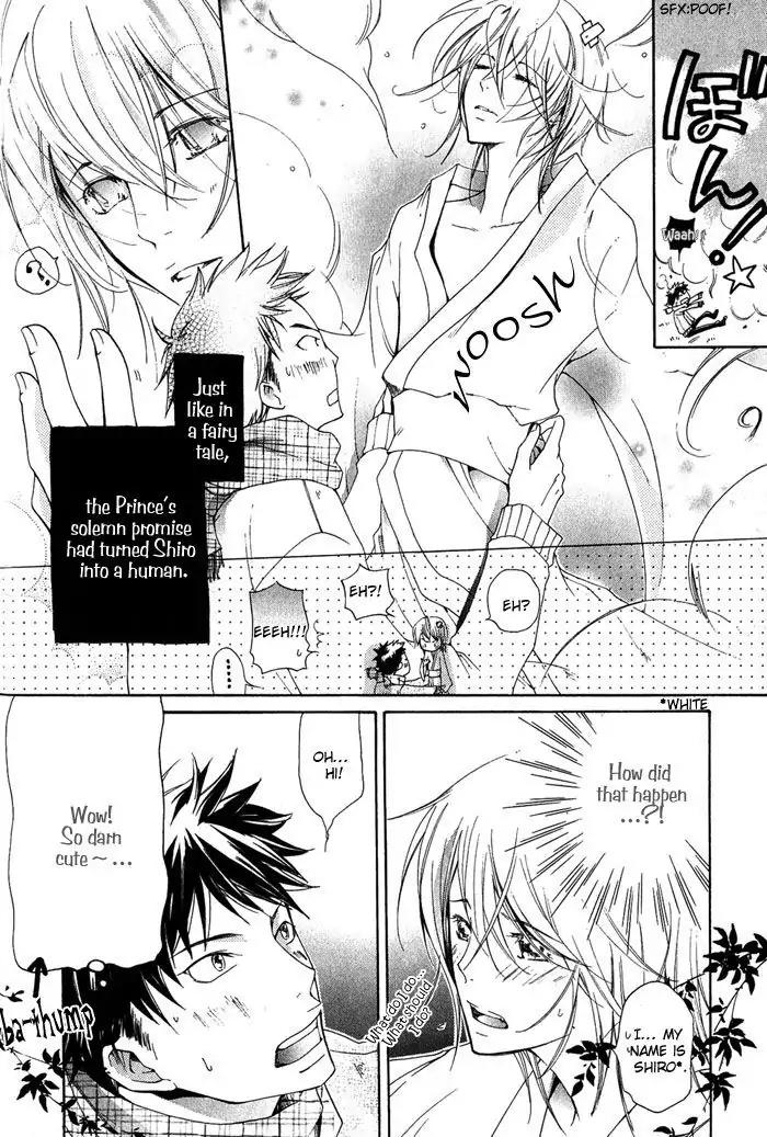 Junketsu Ningyo Chapter 4 page 4 - Chapter 4