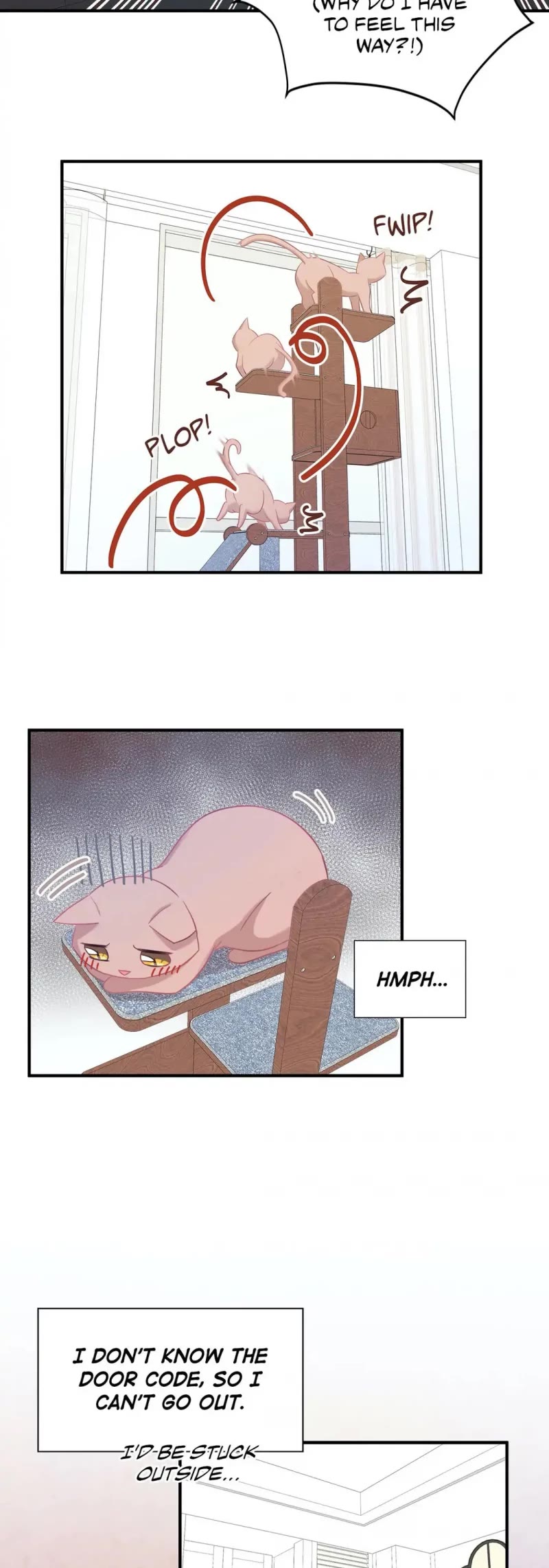 Just for a Meowment Chapter 17 page 4 - Chapter 17