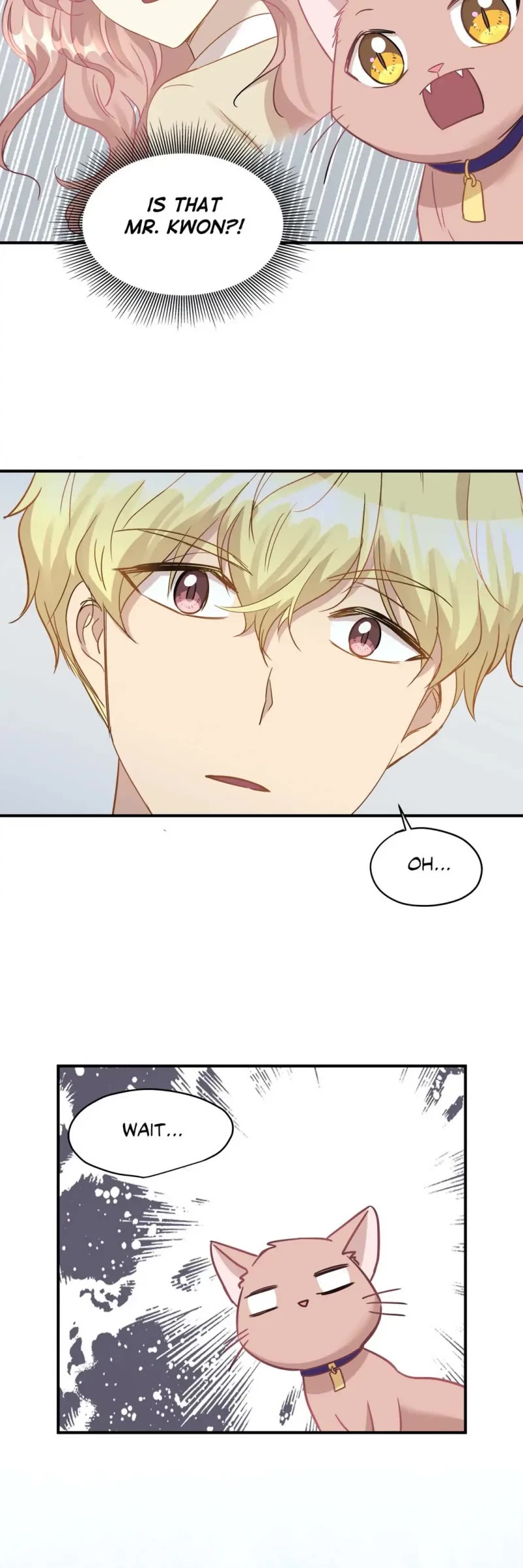 Just for a Meowment Chapter 20 page 24 - Chapter 20