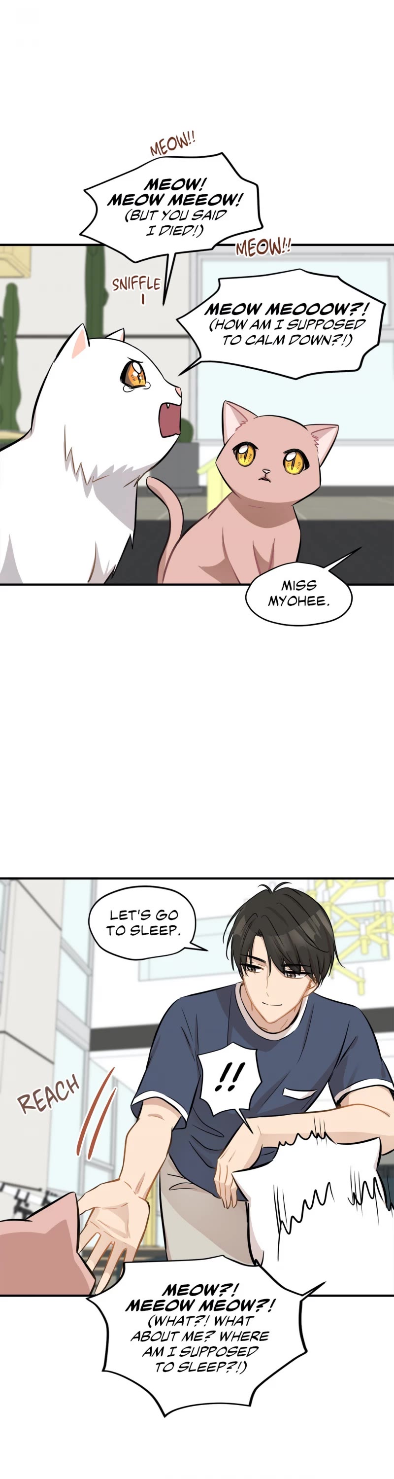 Just for a Meowment Chapter 44 page 13 - Chapter 44