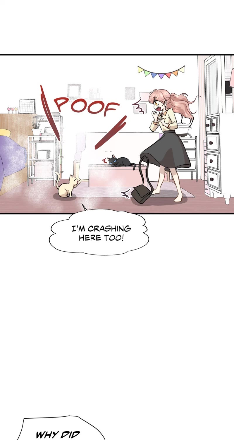 Just for a Meowment Chapter 55 page 20 - Chapter 55