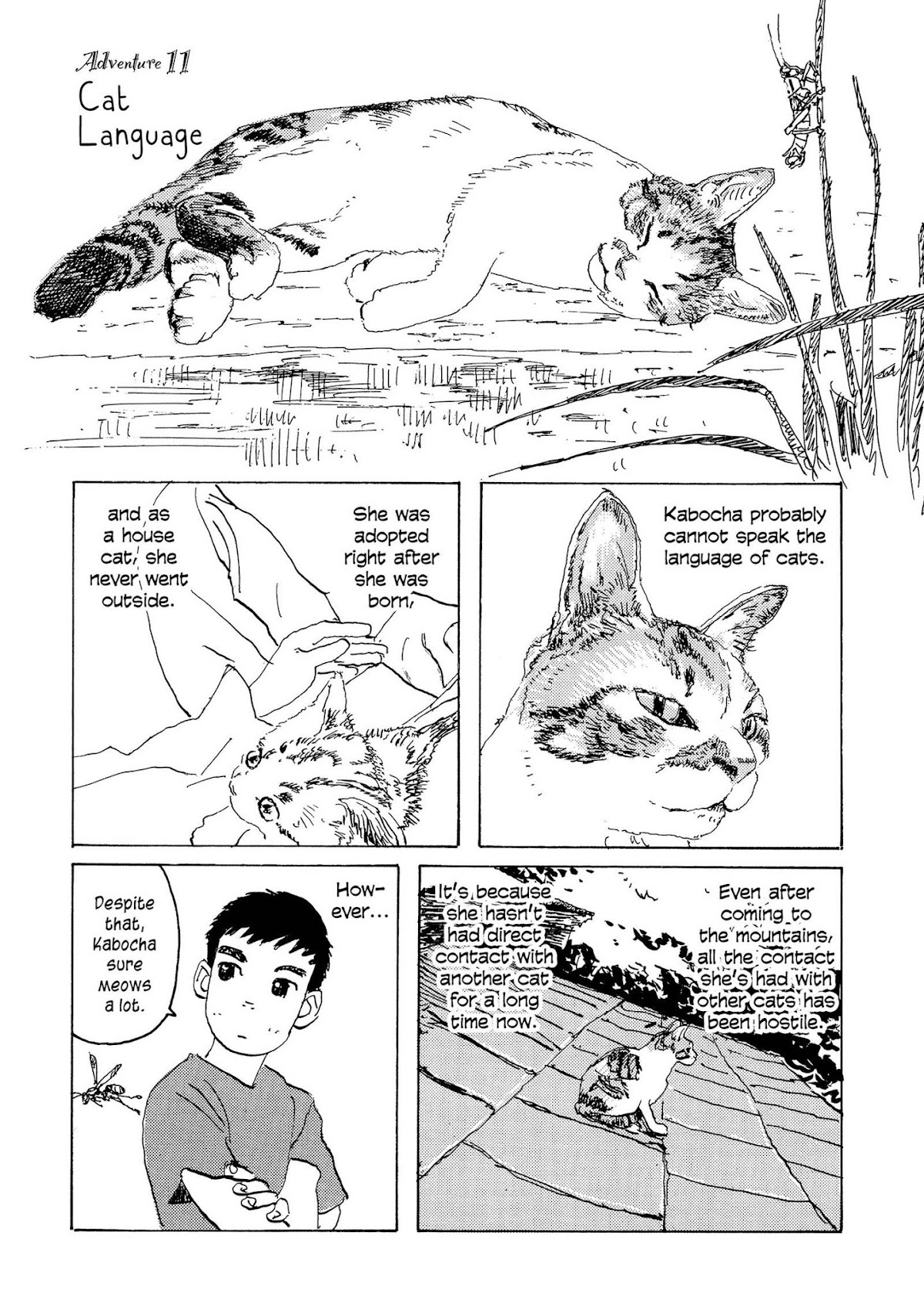 Kabocha no Bouken Chapter 11 page 1 - Chapter 11: Cat Language
