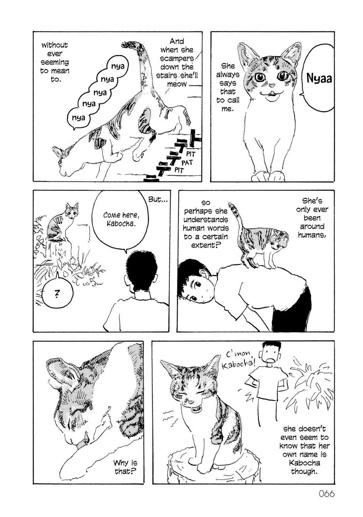 Kabocha no Bouken Chapter 11 page 2 - Chapter 11: Cat Language