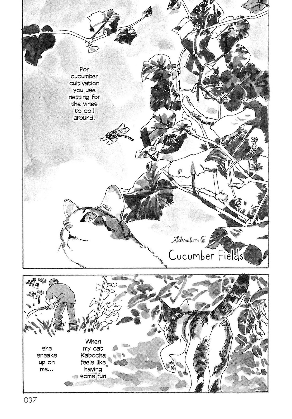 Kabocha no Bouken Chapter 6 page 1 - Chapter 6: Cucumber Fields