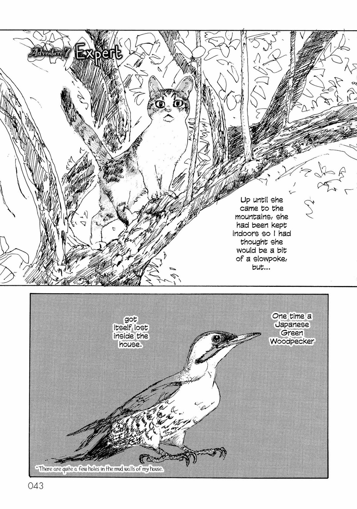 Kabocha no Bouken Chapter 7 page 1 - Chapter 7: Expert
