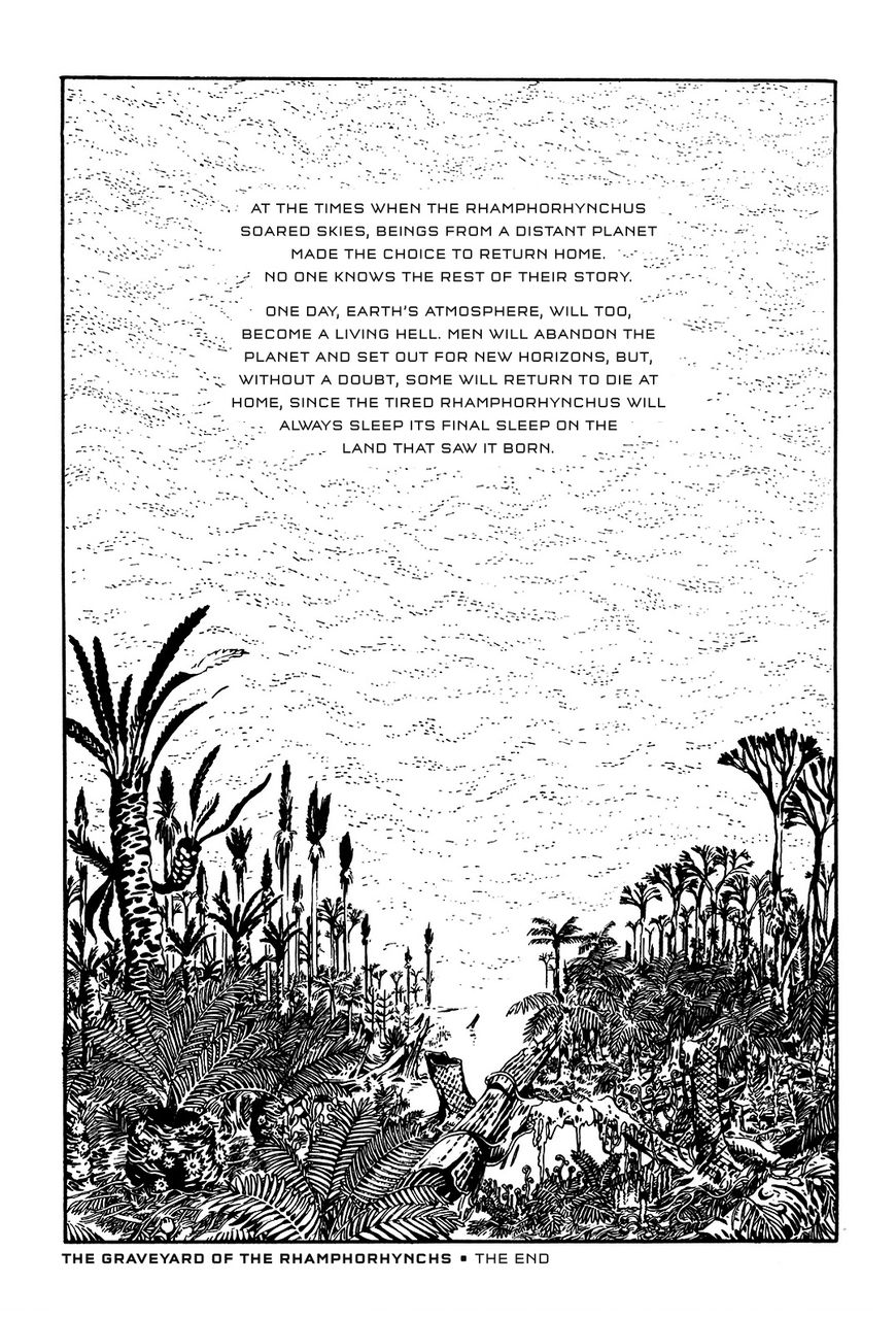 Kaerazaru Toki no Monogatari Chapter 1 page 18 - Chapter 1 : The Graveyard of the Rhamphorhynchs