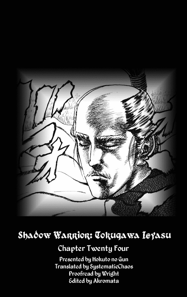 Kagemusha - Tokugawa Ieyasu Chapter 24 page 28 - Chapter 24 : The Exposed Nature!
