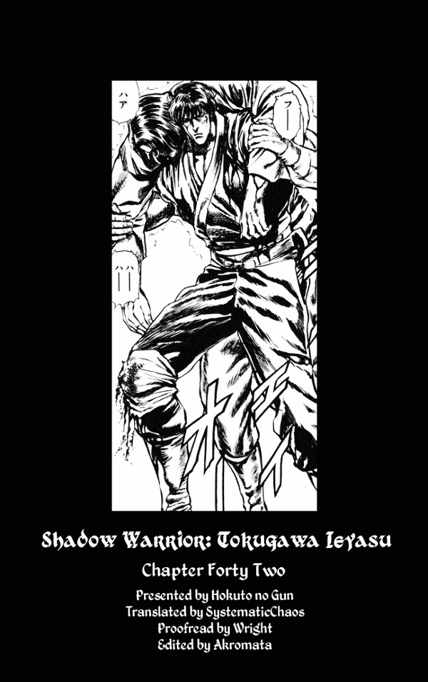 Kagemusha - Tokugawa Ieyasu Chapter 42 page 21 - Chapter 42 : Return from Hell!