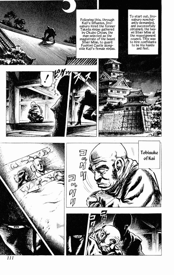 Kagemusha - Tokugawa Ieyasu Chapter 47 page 15 - Chapter 47 : The Sleeping Lion Stands!