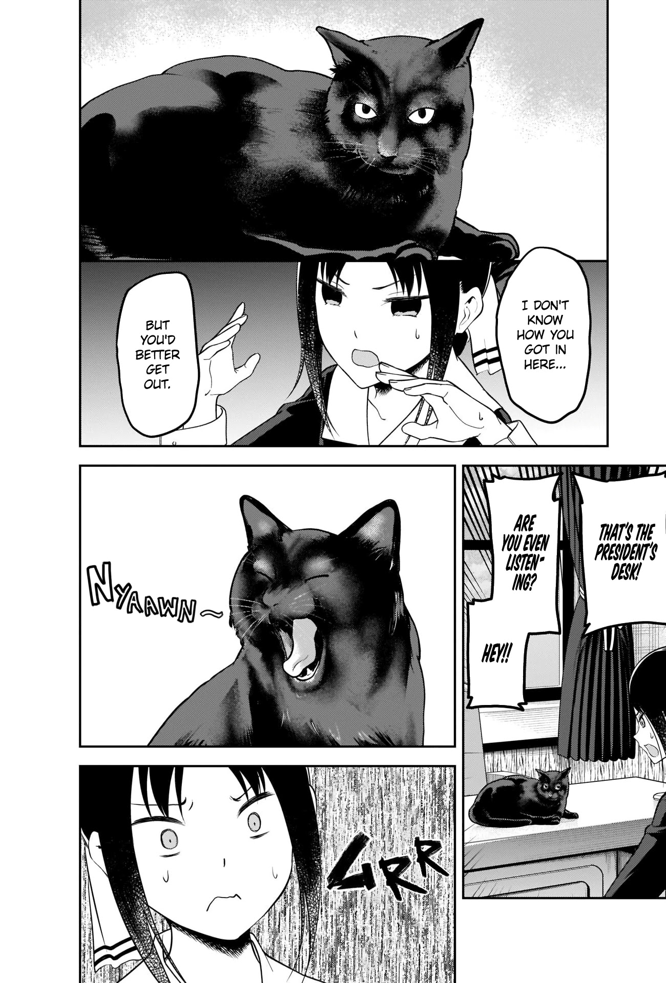 Kaguya-sama wa Kokurasetai - Tensai-tachi no Renai Zunousen Chapter 214 page 6 - Chapter 214: Kaguya-sama Hates Cats