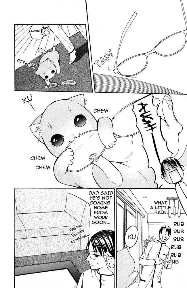 Kaichou-san no Koneko Chapter 1 page 15 - Chapter 1