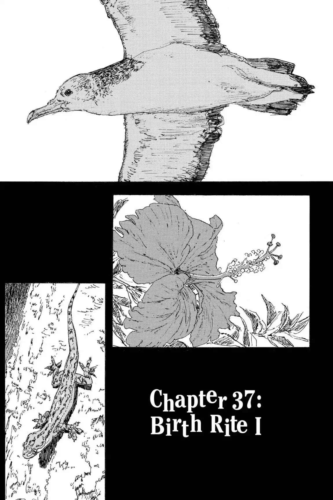 Kaijuu no Kodomo Chapter 37 page 3 - Chapter 37: Birth Rite I