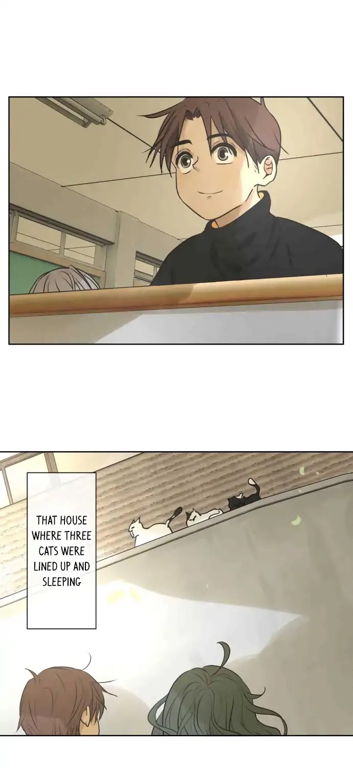 Kakao 79% Chapter 164 page 24 - Chapter 164: Lost (2)