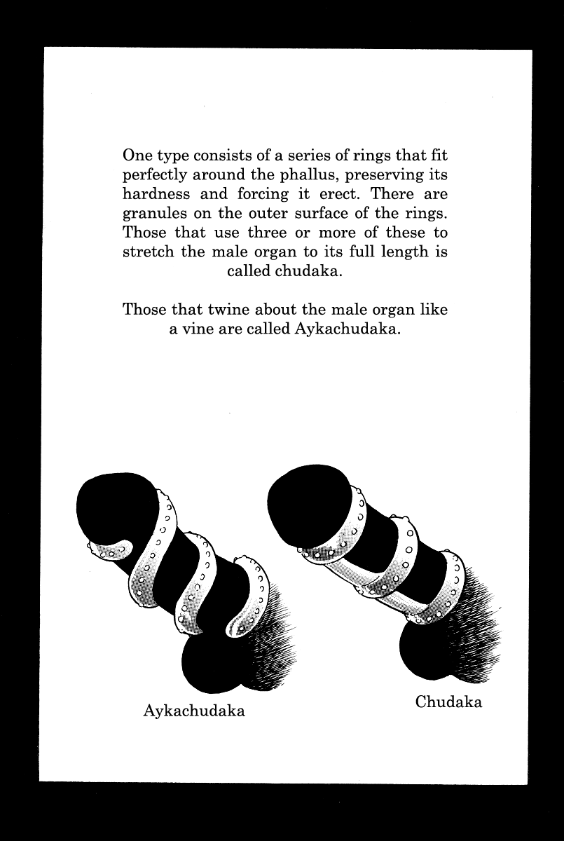 Kamasutra Chapter 14 page 13 - Chapter 14: Phallus