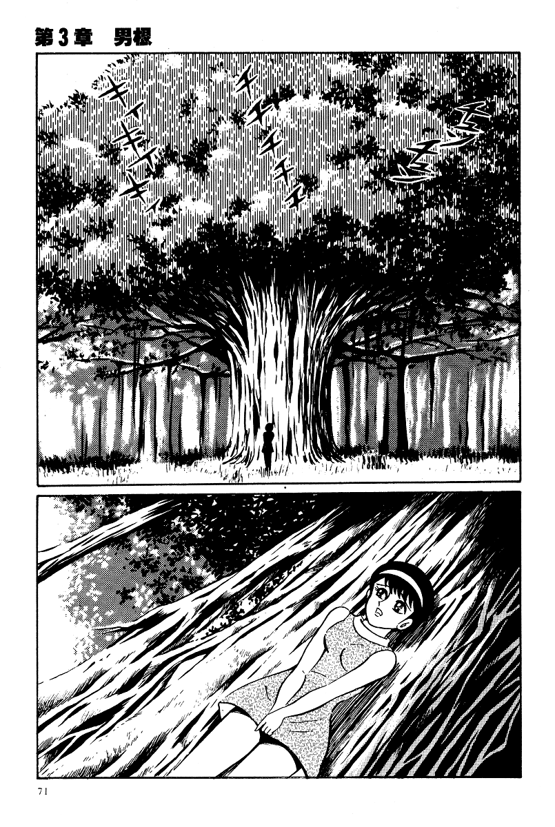 Kamasutra Chapter 14 page 3 - Chapter 14: Phallus