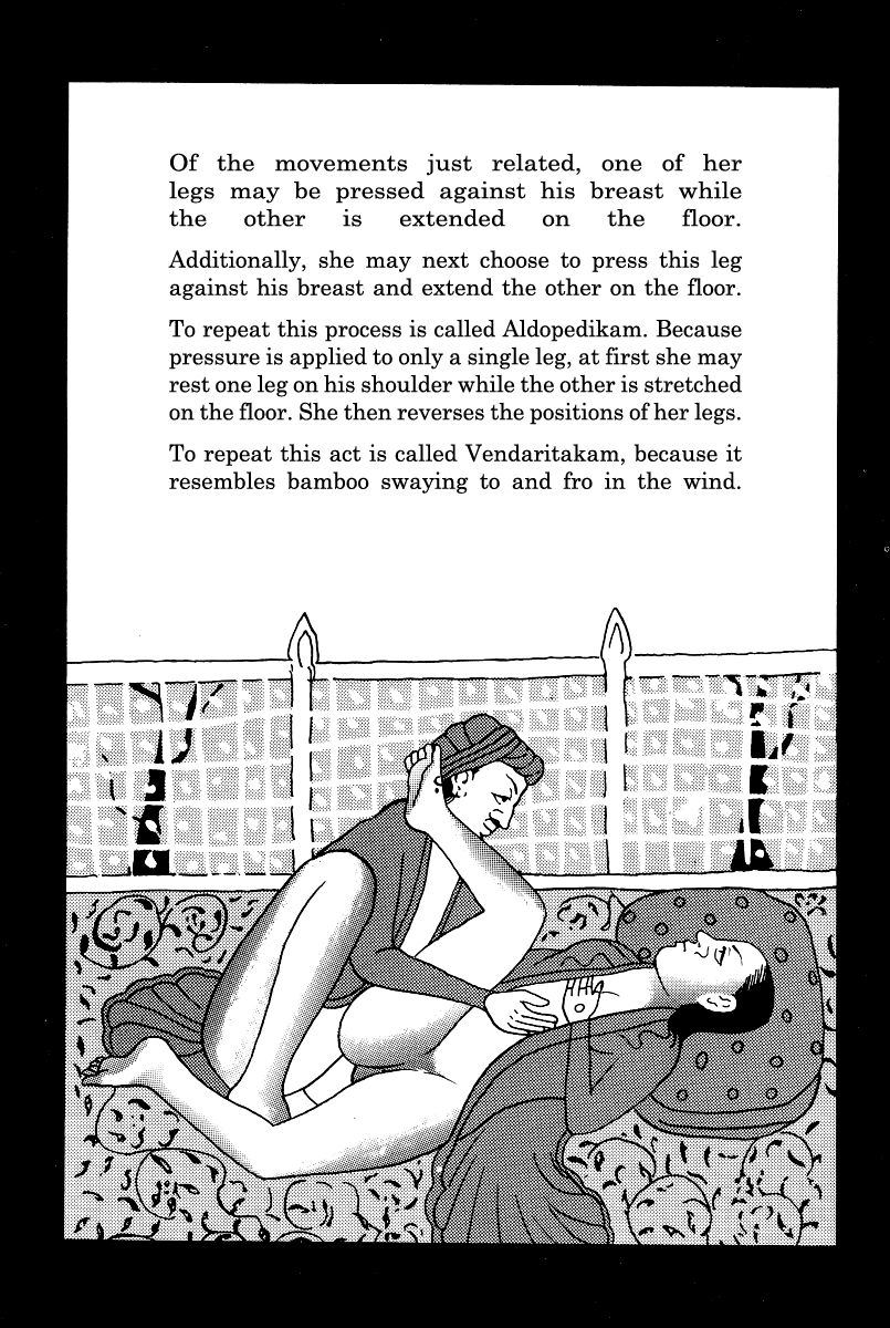 Kamasutra Chapter 19 page 8 - Chapter 19: Heaven's Casket