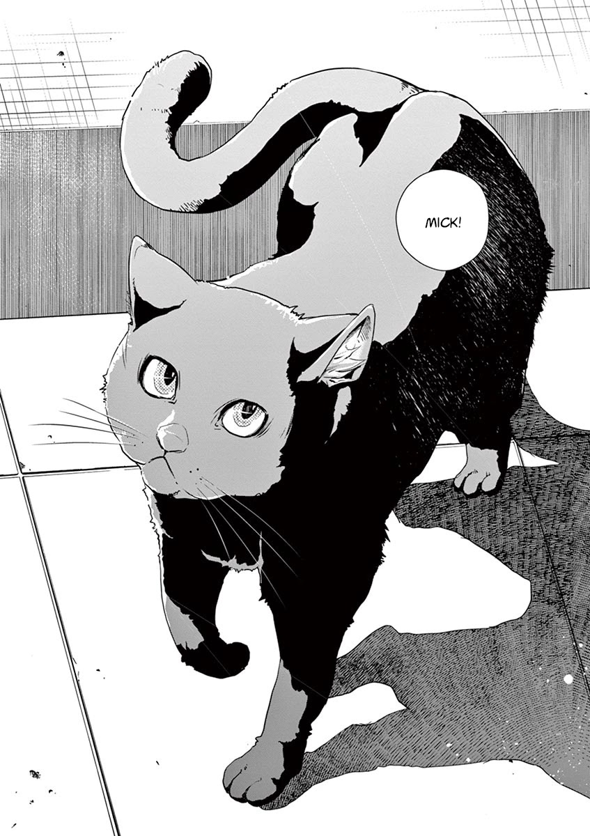 Kamen Rider W: Fuuto Tantei Chapter 16 page 20 - Chapter 16: Where Is the c 1/The Cat-finding Expert