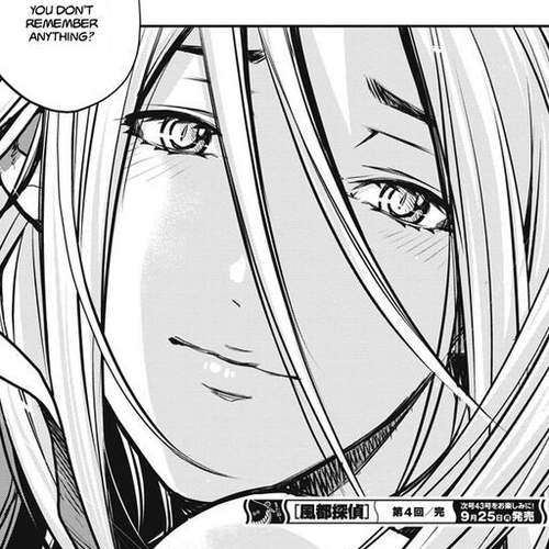 Kamen Rider W: Fuuto Tantei Chapter 4 cover