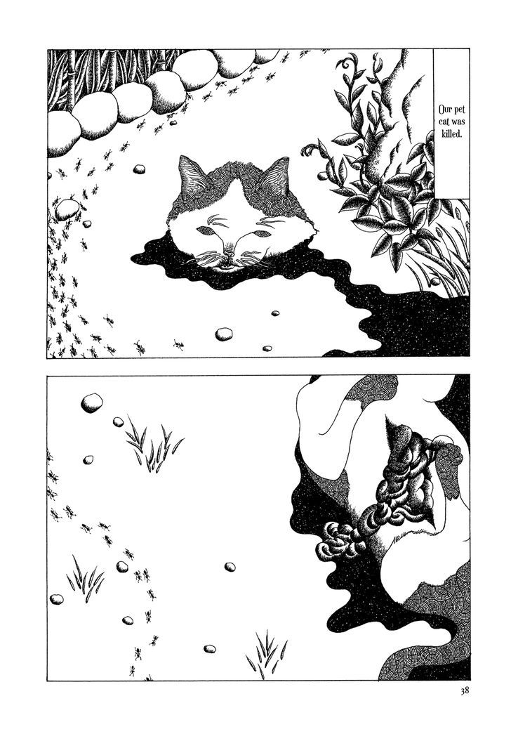 Kami no Kodomo Chapter 2 page 19 - Chapter 2 : Childhood