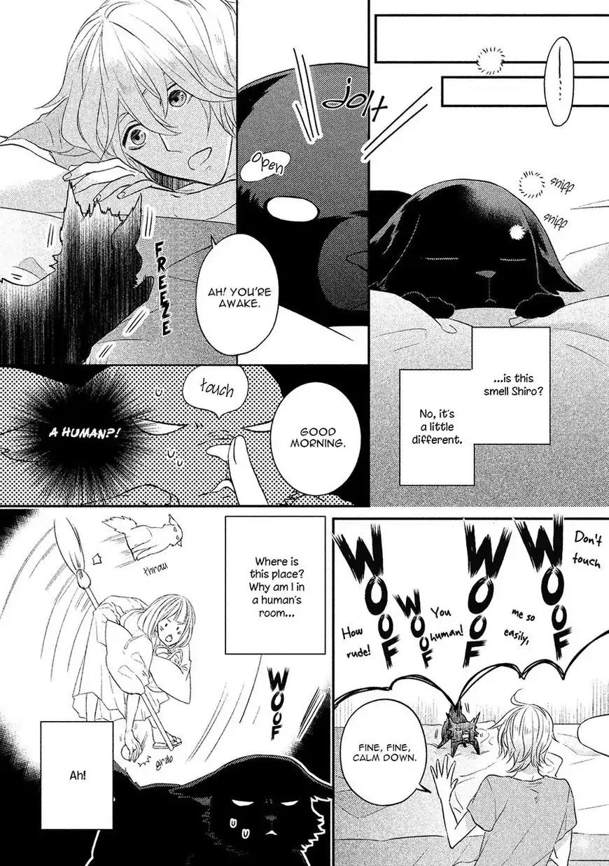 Kamisama x Oresama x Oyomesama Chapter 4 page 8 - Chapter 4