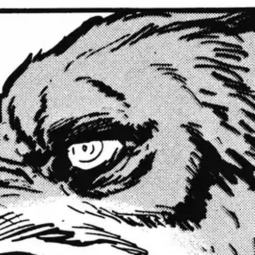 Kamui-Den Chapter 6: Green Eyes cover