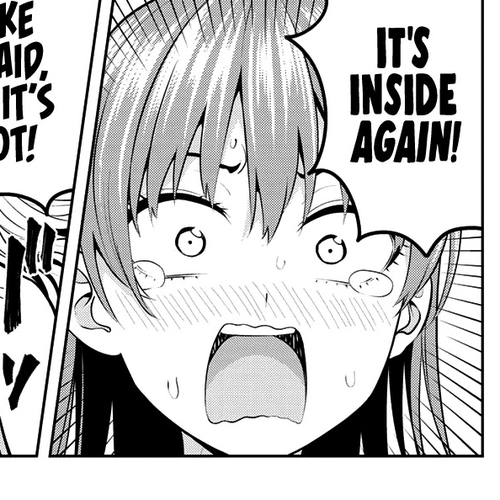 Kanojo mo Kanojo Chapter 46: Perhaps cover