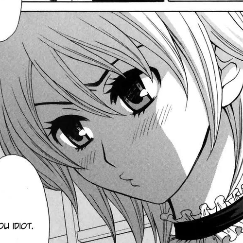 Kanojo wa Kanno Shosetsuka Chapter 8: He's a Maid? cover