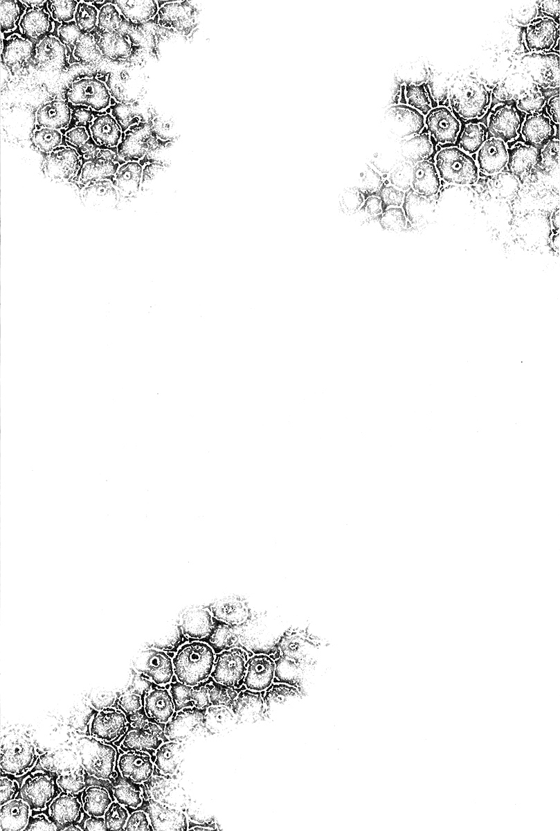 Kansen Rettou Chapter 1.2 page 51 - Chapter 1 v2 : Phase 1