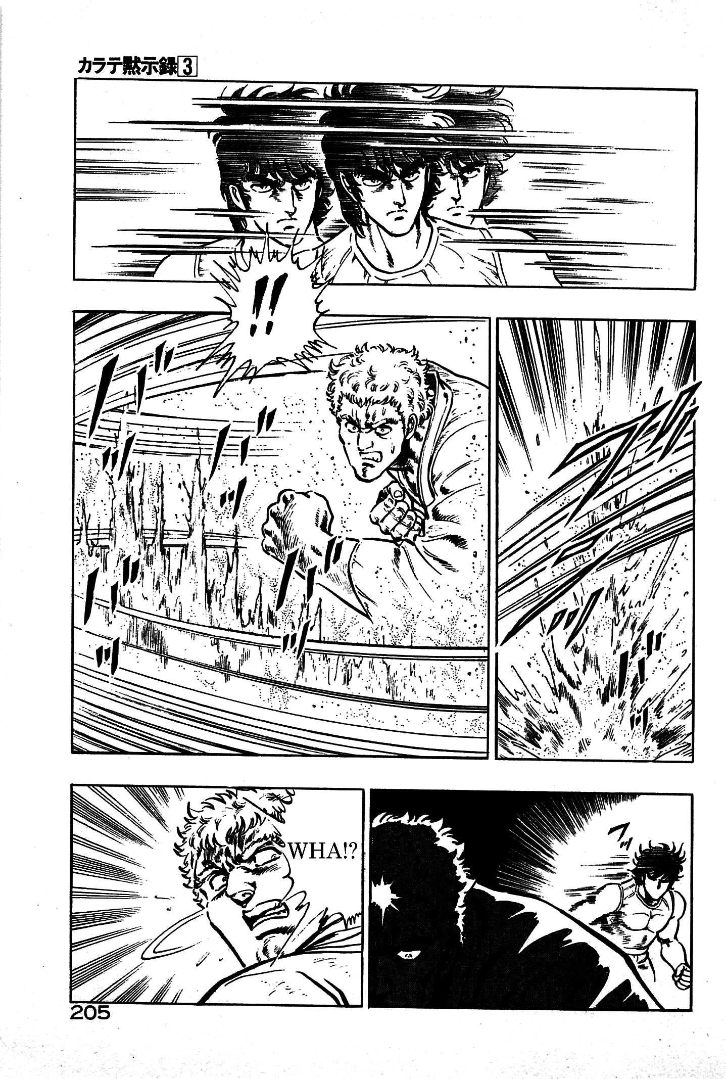 Karate Apocalypse Chapter 19 page 15 - Chapter 19: Demon of the Fist [END]