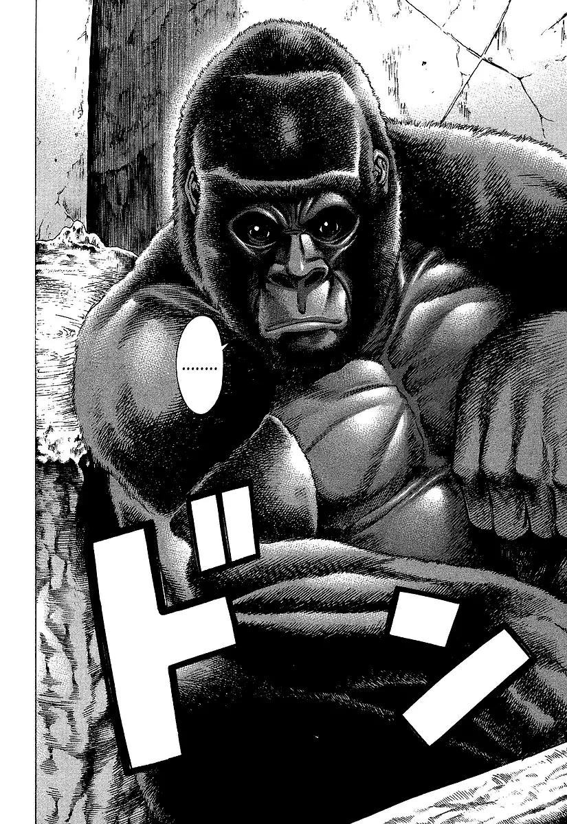 Karate Shoukoushi Kohinata Minoru Chapter 251 page 6 - Chapter 251 : Martial Arts Catch Phrase