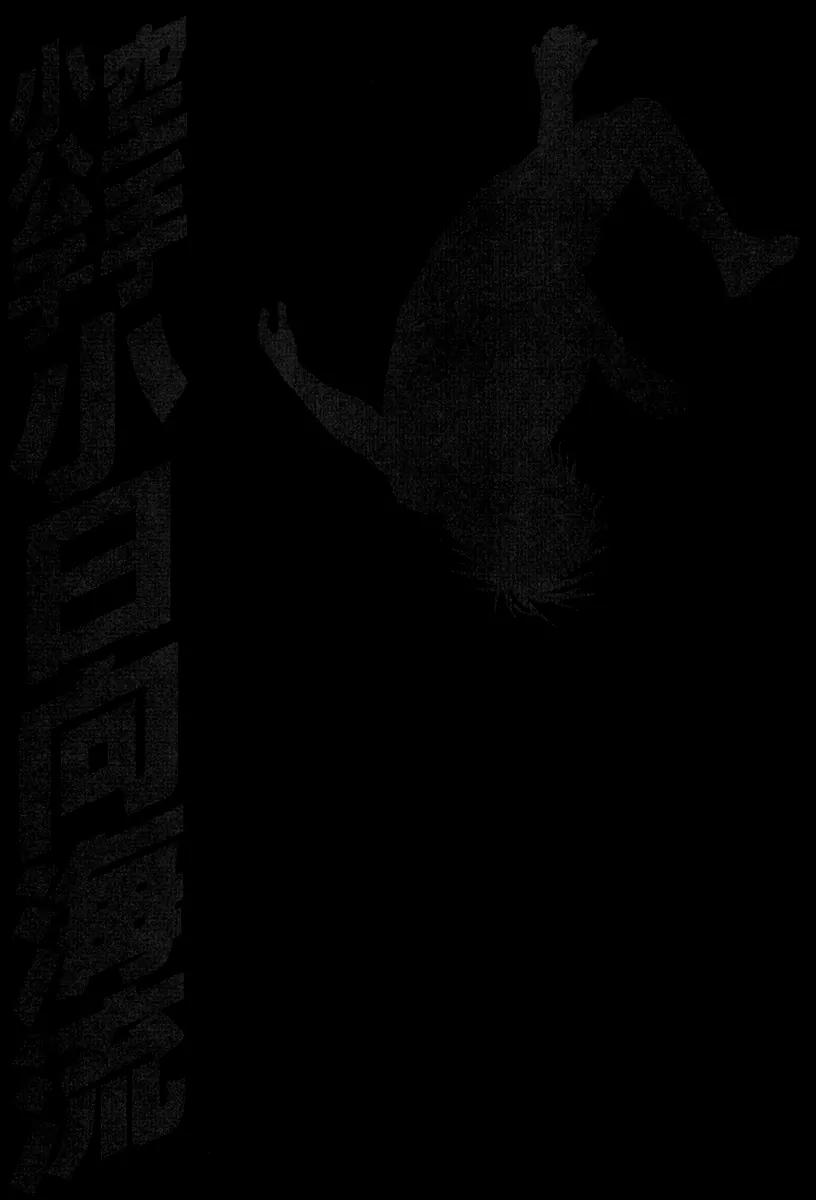 Karate Shoukoushi Kohinata Minoru Chapter 347 page 20 - Chapter 347: Showdown Between Secret Weapons