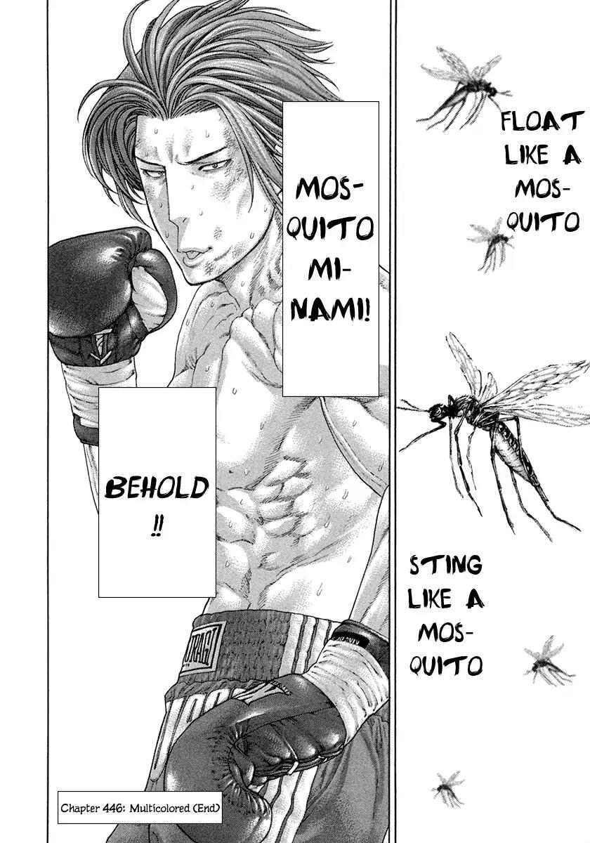 Karate Shoukoushi Kohinata Minoru Chapter 446 page 25 - Chapter 446: Multicolored