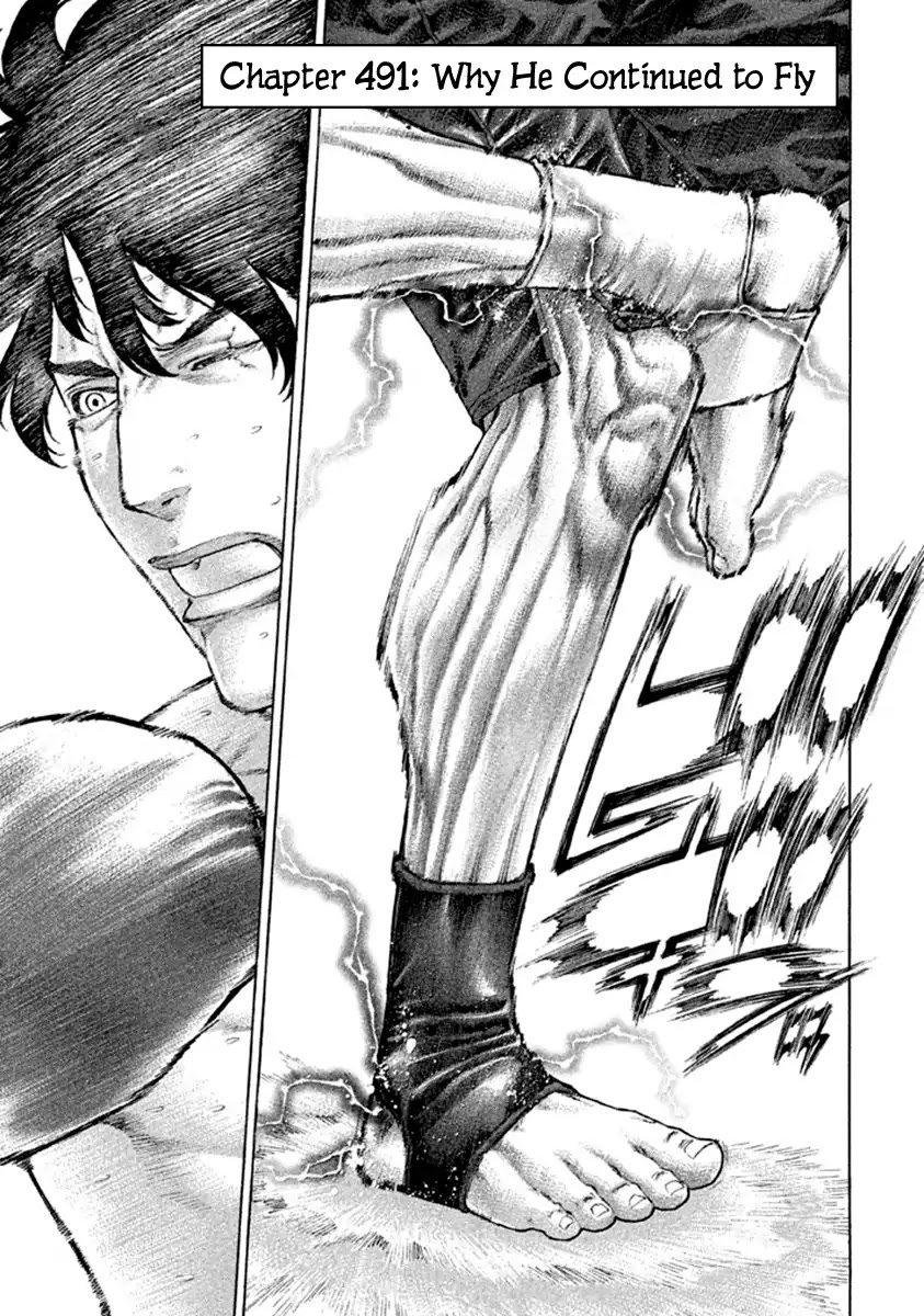 Karate Shoukoushi Kohinata Minoru Chapter 491 page 1 - Chapter 491: Why He Continued to Fly
