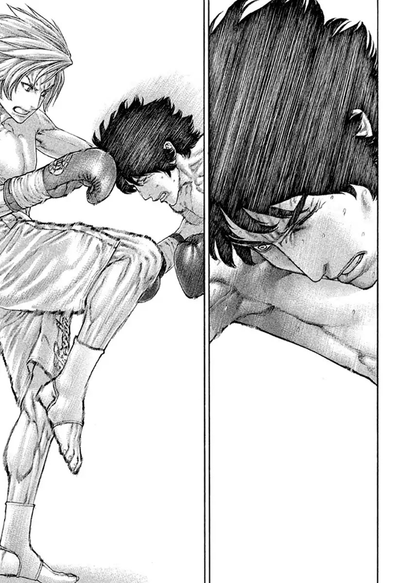 Karate Shoukoushi Kohinata Minoru Chapter 491 page 15 - Chapter 491: Why He Continued to Fly