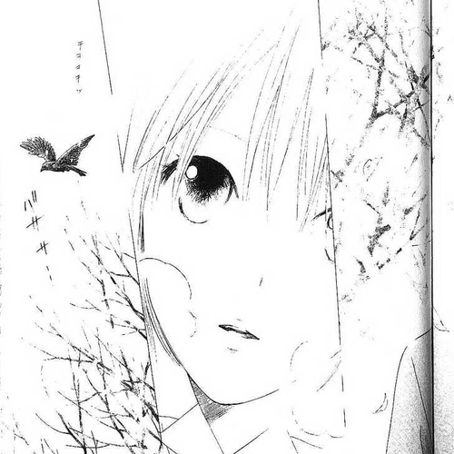 Kareshi Kanojo no Jijou Chapter 78 : Bird That Flies Through the Darkness cover