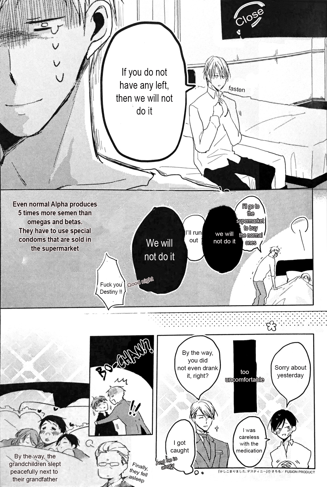 Kashikomarimashita, Destiny Chapter 12.6 page 60 - Extra Papers