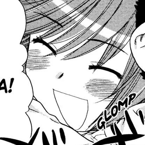 Kashimashi - Girl Meets Girl Chapter 28.5 cover