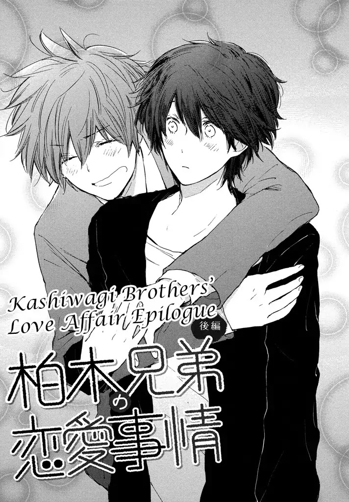 Kashiwagi Brothers' Love Affair Chapter 2 page 1 - Chapter 2: Kashiwagi Brothers' Love Affair - Epilogue