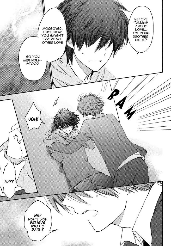 Kashiwagi Brothers' Love Affair Chapter 2 page 15 - Chapter 2: Kashiwagi Brothers' Love Affair - Epilogue