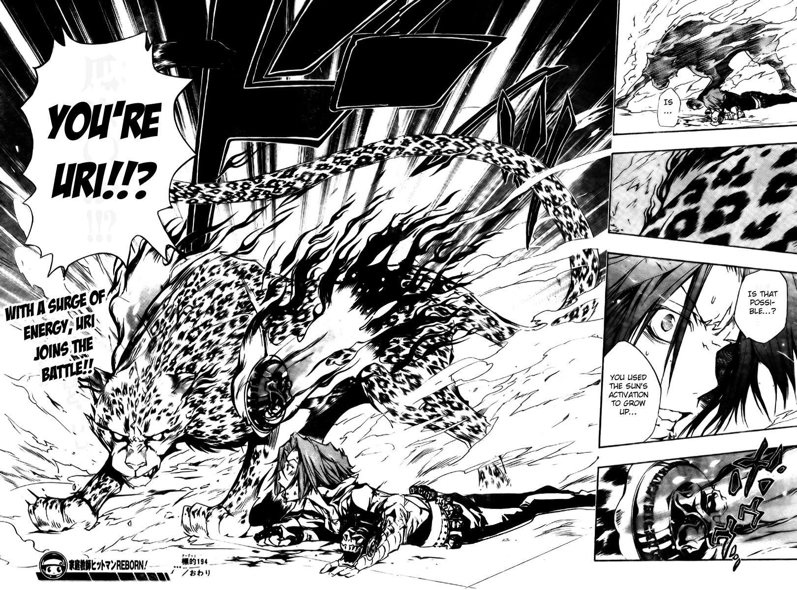 Kateikyoushi Hitman Reborn! Chapter 194 page 17 - Chapter 194: Sistema C.A.I. 2