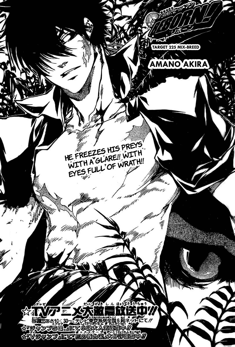 Kateikyoushi Hitman Reborn! Chapter 225 page 1 - Chapter 225: Mix-Breed