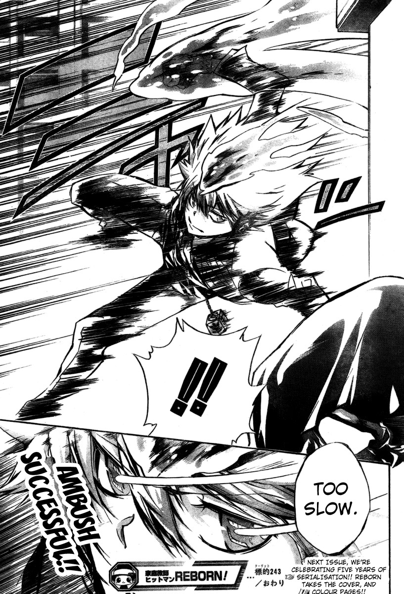 Kateikyoushi Hitman Reborn! Chapter 243 page 17 - Chapter 243