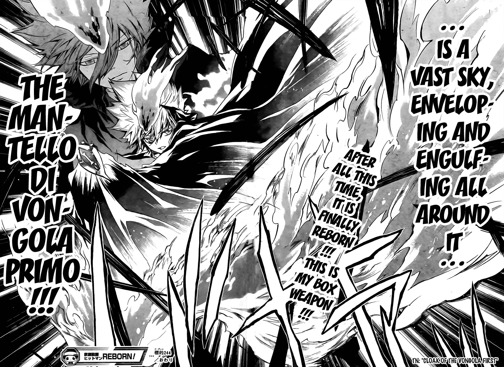Kateikyoushi Hitman Reborn! Chapter 244 page 19 - Chapter 244