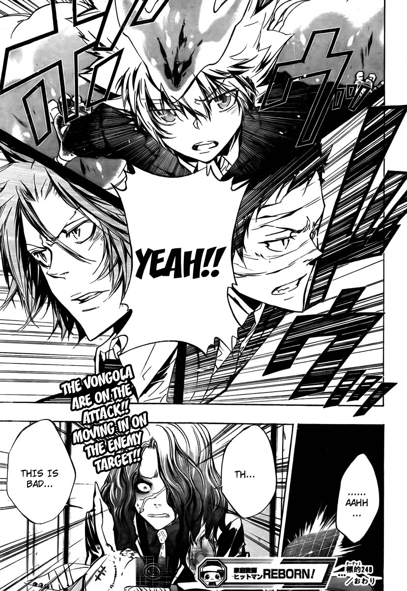 Kateikyoushi Hitman Reborn! Chapter 248 page 17 - Chapter 248