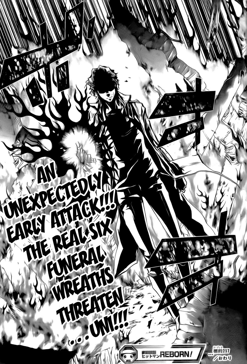 Kateikyoushi Hitman Reborn! Chapter 257 page 17 - Chapter 257