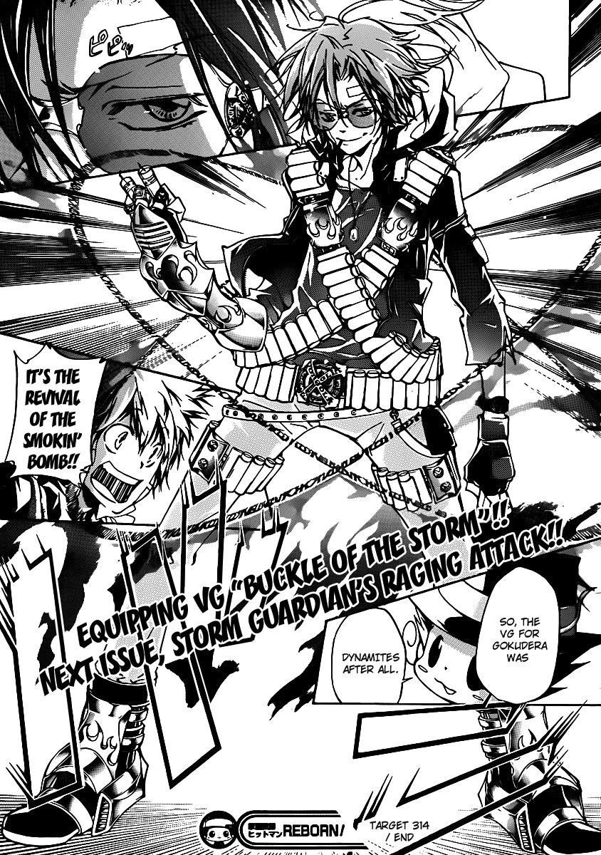 Kateikyoushi Hitman Reborn! Chapter 314 page 17 - Chapter 314: For Who